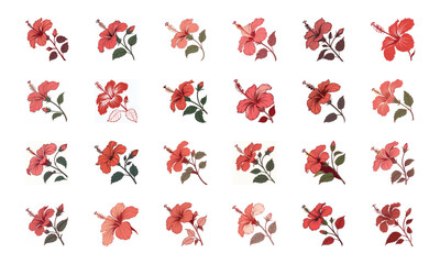 Beautiful Collection of Colorful Flower Illustrations Featuring Roses, Tulips, Lotus, Hibiscus, Daisies, and Seasonal Blossoms for Botanical Art and Design Projects
