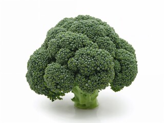 A single head of broccoli with a thick green stem