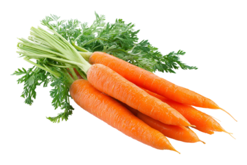Fresh Orange Carrots with Green Tops Healthy Food