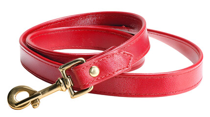 Red Leather Handbag Strap with Gold Clasp