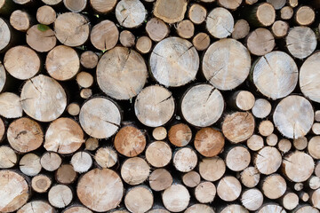 A pile of logs with a brownish color