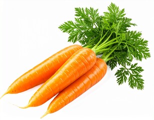 Fresh Carrots with Bright Orange Color
