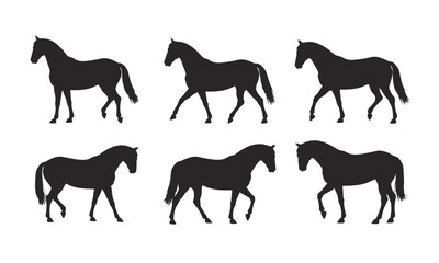 Obraz premium UntitledVector art of horse silhouettes in various poses, representing equine animals in motion, isolated on white background modern design with minimalist style and clear shapes and dynamic movement