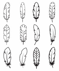 Minimal Feather Outline Vector Set – Modern Nature Design Collection.