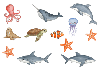 watercolor illustration clipart for nursery and baby shower . Whale, Dolphin, narwhal, octopus, sea turtle, walrus, sea horse, starfish, pupperfish, jellyfish, shark, clownfish