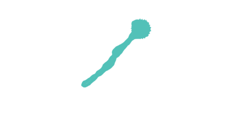 A turquoise shape resembling a stylized sperm cell against a solid black background in simple illustration