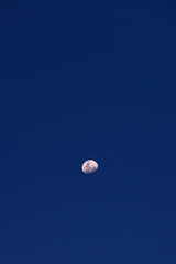 A minimalistic view of the moon captured after sunset against a dark blue sky.