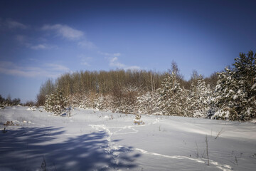 winter season in the village