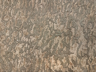 Random fabric texture with abstract grunge and bark pattern, in grey color. Random washed attern carpet rug seamless background texture