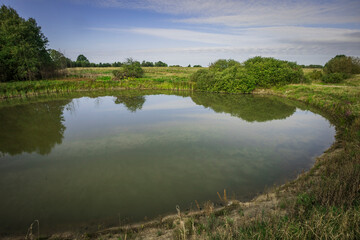 pond in summer in the wild