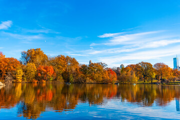 Fall nature. Rowboat on a small lake at the Central Park. Central Park Lake in autumn with people rowing boat. Central Park on sunny autumn day change colors. Autumn landscape. Central Park waterway
