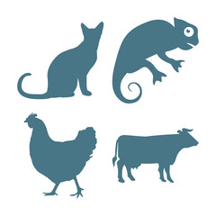 Vector art of four distinct animal silhouettes featuring a cat, a chameleon, a chicken, and a cow, all presented in a clean, isolated on white background composition