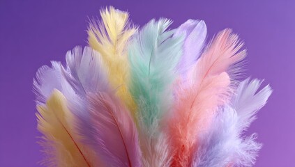 Obraz premium Colorful feathers clustered close up