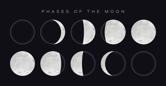 Vector illustration of the phases of the moon showing new moon, crescent, first quarter, gibbous, and full moon in minimal dark background style.