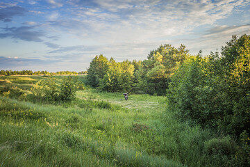 green fields and meadows of the countryside