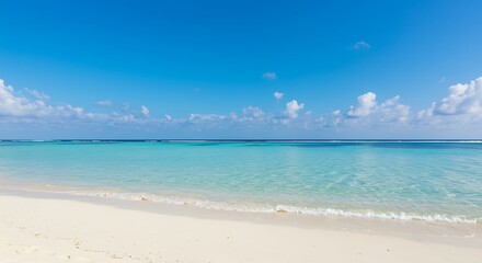 Fototapeta premium Experience the ultimate serenity of a tropical paradise beach, where crystal-clear turquoise waters gently meet pristine white sands, creating an idyllic escape under a brilliant blue sky.