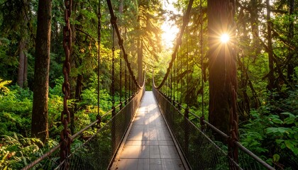 Obraz premium Lush forest canopy, suspension bridge