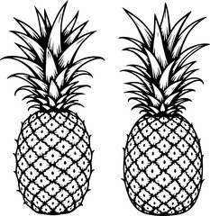 pineapple, fruit, tropical, silhouette, black and white,  white, vector fruit,  vector bundle