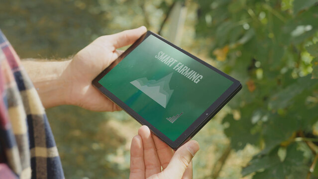 Farmer holding tablet showing smart farming app in vineyard
