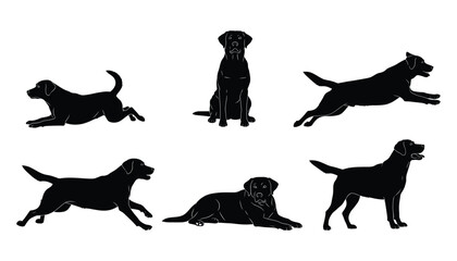 Black Labrador Retriever Silhouettes in Various Poses on White Background Canine Companions and Loyal Pets Vector Illustration