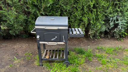 Grill nestled by verdant firs invites rustic midsummer cookouts and secretive barbecue folklore in serene backyard escapade