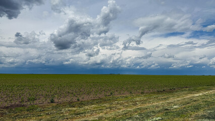 Expansive plains under a whimsical tapestry of clouds, evoking Earth's canvas during Kansas Day and...