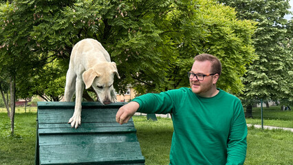 Gentle Caucasian man in verdant park guides curious dog on agility ramp, capturing Dog Appreciation Day serenity and playful bonding