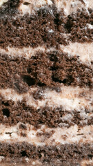 Rich chocolate cake strata entice with creamy layers, hinting at indulgent celebrations like National Dessert Day or Chocolate Cake Day