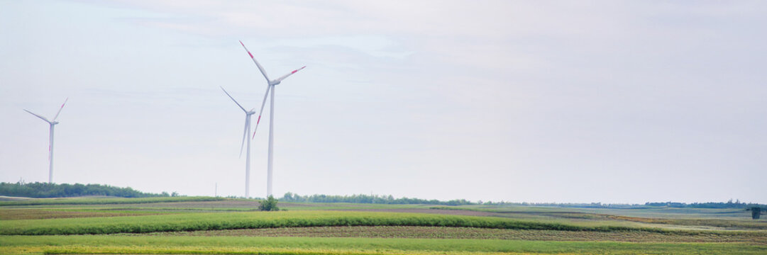 Wind turbines gracefully punctuate the serene, verdant landscape, evoking Earth Day reveries and whispering sustainable tales of Zephyros