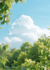 Obraz premium 무지개와 청량한 푸른 들판, Rainbow Over Refreshing Green Fields