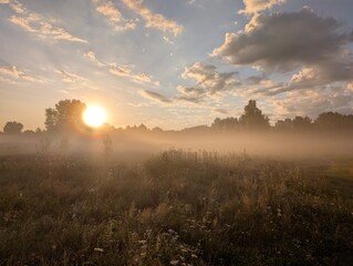 Golden morning mist harmoniously embracing wildflowers at sunrise.