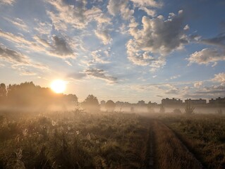 Golden morning mist harmoniously embracing wildflowers at sunrise.