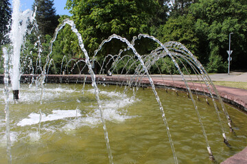 Springbrunnen, Font&auml;nen, Becken, Wald, Sommer, Harz