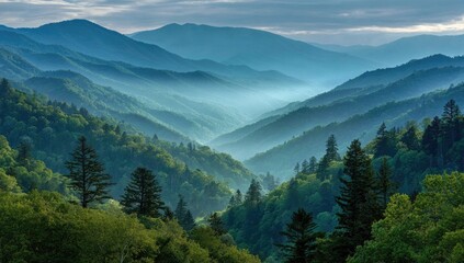 Fototapeta premium Misty mountain vista