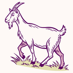 Colorful Vector Illustration of Animals on White Background