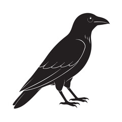 Crow silhouette white background