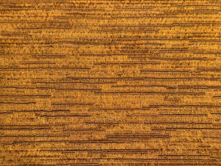 Close up of metallic silk gold fabric with random horizontal stripes. For wallpaper, graphic background, and fabric upholstery. Seamless background texture.