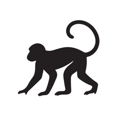 Monkey silhouette white background
