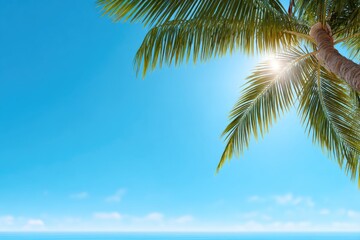 Fototapeta premium Palm tree leaves against a bright sky