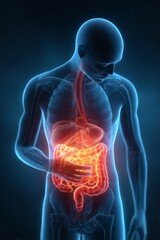 3D rendered medical illustration of a human body with glowing blue internal organs, spine, and heart to show anatomy, health, and pain