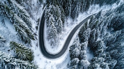 Winding road through snowy forest (1)
