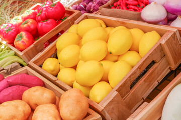Fresh Fruits and vegetables at a farmer market,raw fruits,nutrition,organic,healthy eating or shopping in a grocery store.
