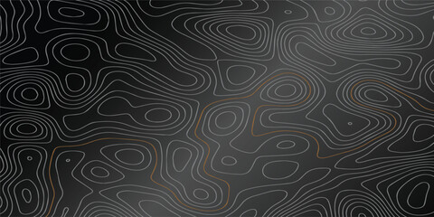 Abstract white line topography geographic mountain relief contour map background, texture terrain lines and geometrics technology topo landscape grid pattern on fresh white line and black background.