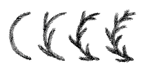 Set of hand drawn spruce branch clipart. Twig of coniferous tree doodle. Christmas and winter design element