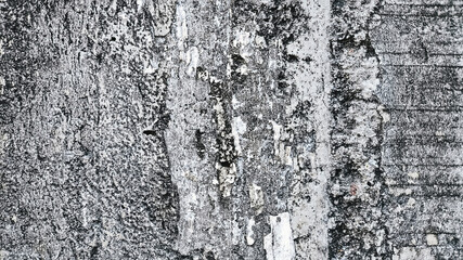 Textured concrete wall surface with fine imperfections and soft stains. Close-up ideal for industrial backgrounds, minimalist architecture themes, or raw construction design overlays.