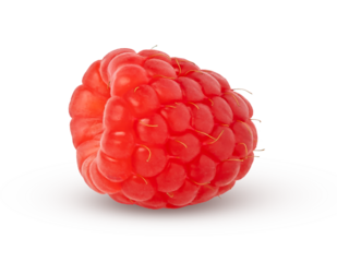 Single raspberry berry isolated. Red berry closeup.