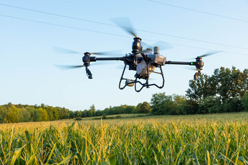 Agriculture drone captures stunning aerial views of a vibrant cornfield, highlighting advanced...