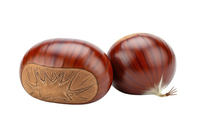 Isolated Chestnut Fruits