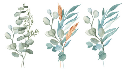 Eucalyptus Watercolor Bouquets Set. Green branches with Dry Spikelets of Wheat or Rye. Hand drawn botanical compositions isolated on a white background. For greeting birthday cards, wedding, save the