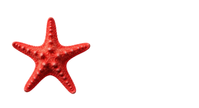 Vibrant red starfish, sculptural, on a transparent seamless reflective background with copy space, top-down macro studio shot, soft light, concept of strategic success.